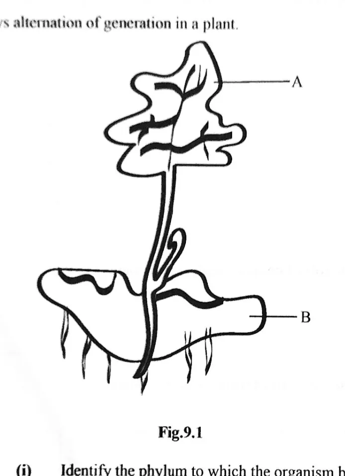 Diagram for Biology Paper 2 November 2023 Question 901