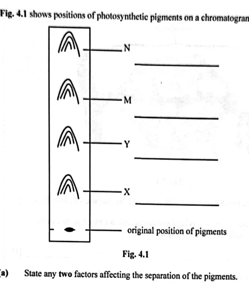 Diagram for Biology Paper 2 November 2024 Question 402