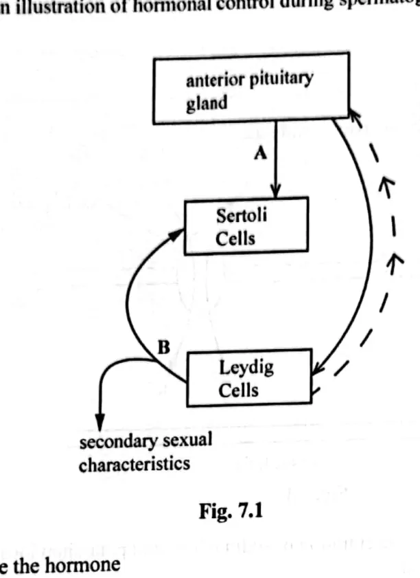 Diagram for Biology Paper 2 November 2024 Question 701