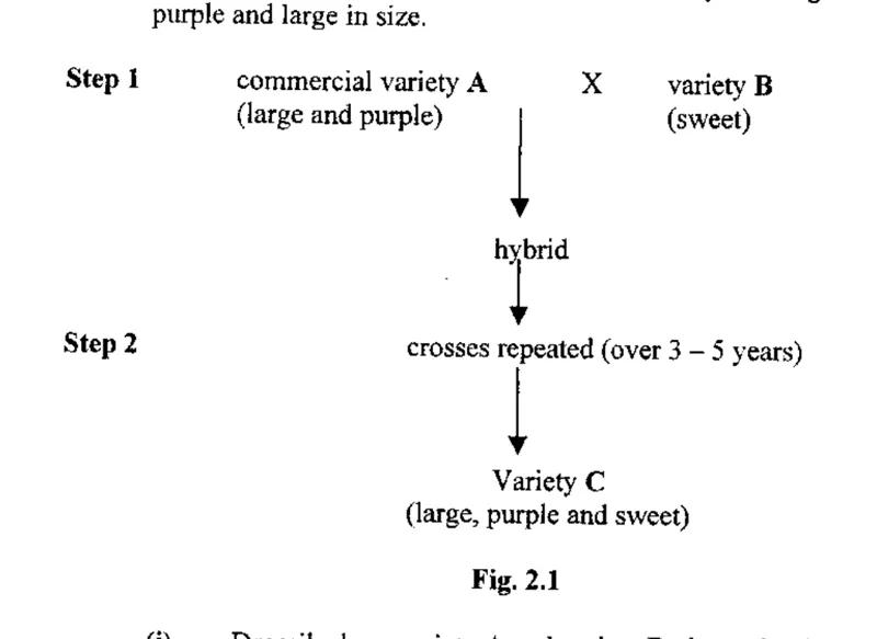 Diagram for Biology Paper 3 June 2017 Section Option 2: Applications of Genetics, Question 2