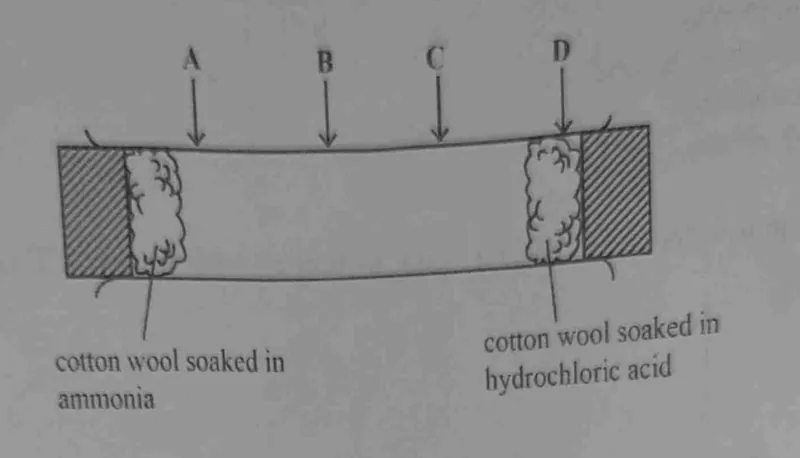 Diagram for Chemistry Paper 1 November 2022 Question 26