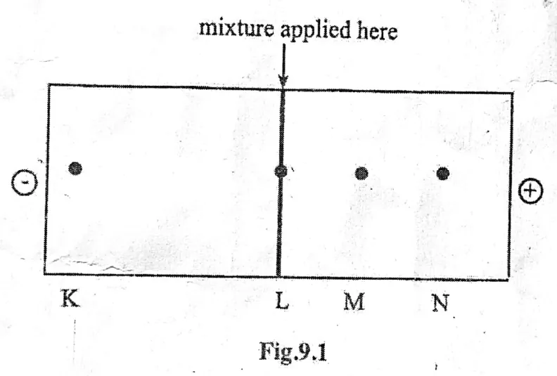 Diagram for Chemistry Paper 3 November 2018 Question 901