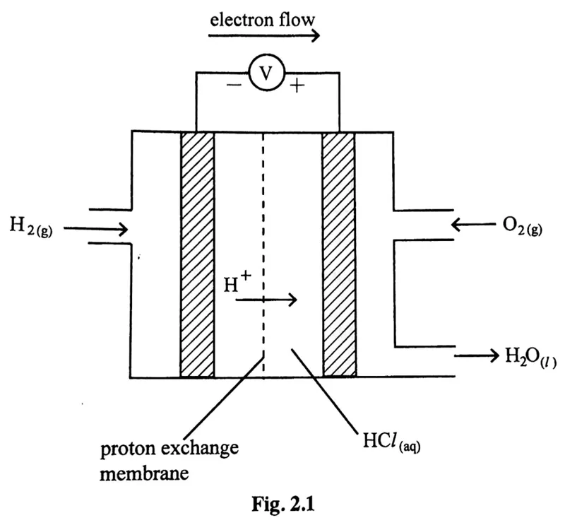 Diagram for Chemistry Paper 3 June 2019 Question 201