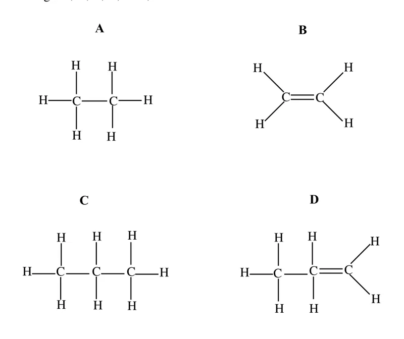 Diagram for Combined Science Paper 1 Specimen 2018 Question 21