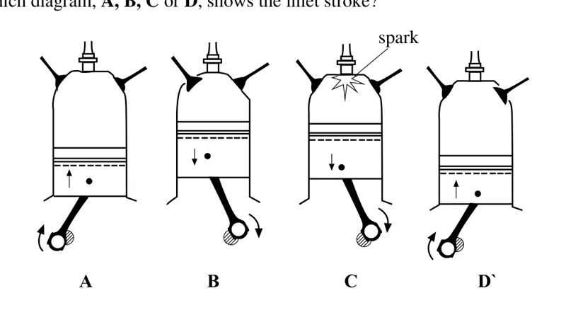 Diagram for Combined Science Paper 1 Specimen 2018 Question 30