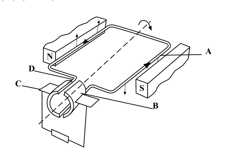 Diagram for Combined Science Paper 1 Specimen 2018 Question 31