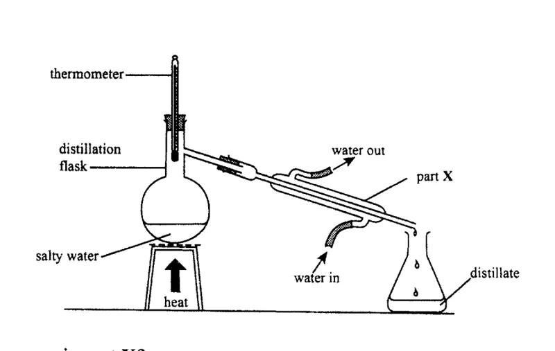 Diagram for Combined Science Paper 1 June 2019 Question 15