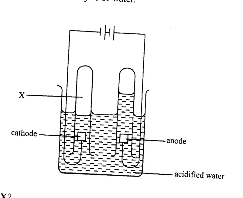 Diagram for Combined Science Paper 1 June 2019 Question 23