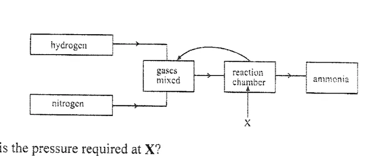Diagram for Combined Science Paper 1 June 2019 Question 25