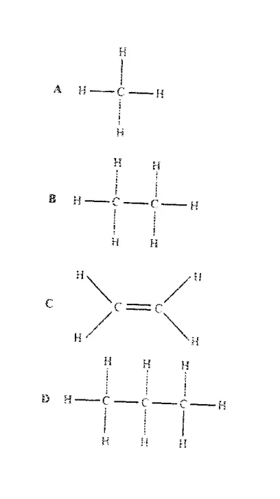 Diagram for Combined Science Paper 1 June 2019 Question 27