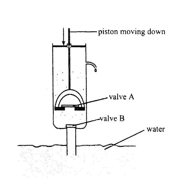 Diagram for Combined Science Paper 1 June 2019 Question 31