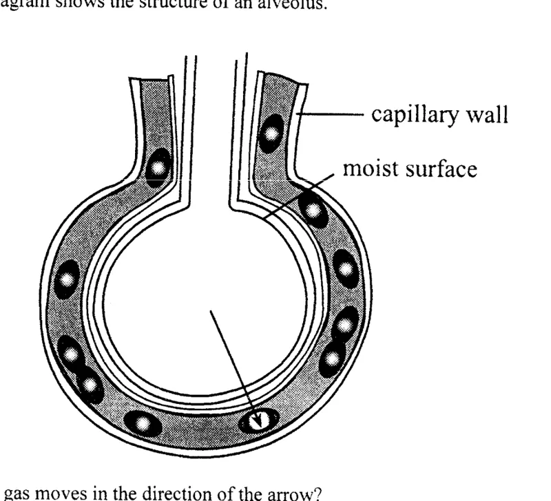 Diagram for Combined Science Paper 1 June 2019 Question 6