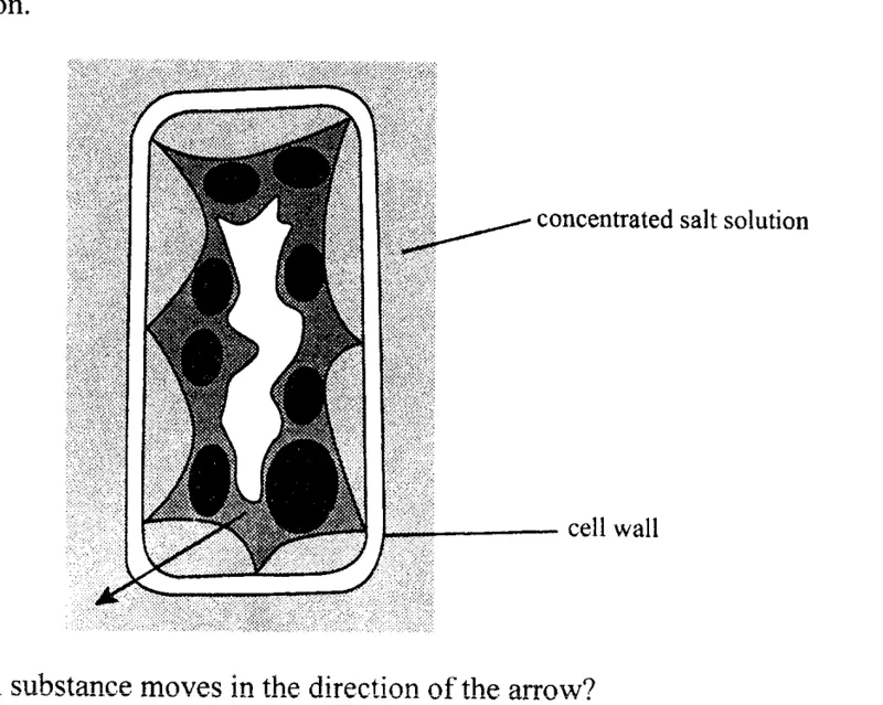 Diagram for Combined Science Paper 1 June 2019 Question 7