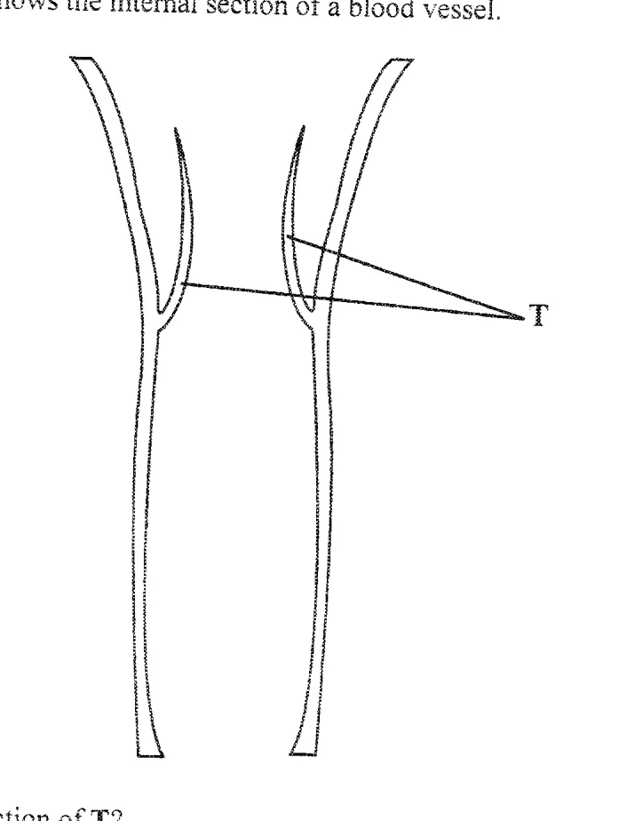 Diagram for Combined Science Paper 1 June 2019 Question 8