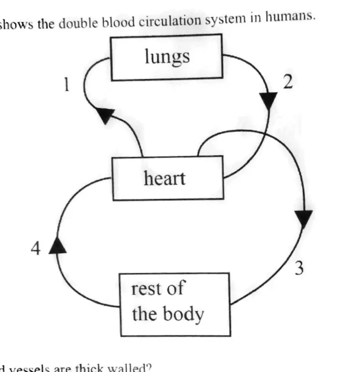Diagram for Combined Science Paper 1 June 2020 Question 10