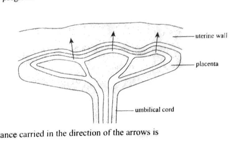 Diagram for Combined Science Paper 1 June 2020 Question 12