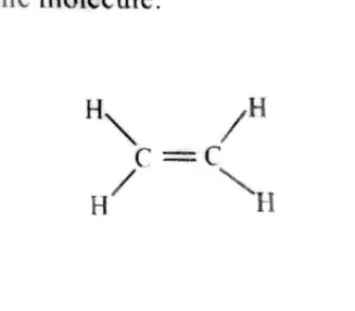 Diagram for Combined Science Paper 1 June 2020 Question 27