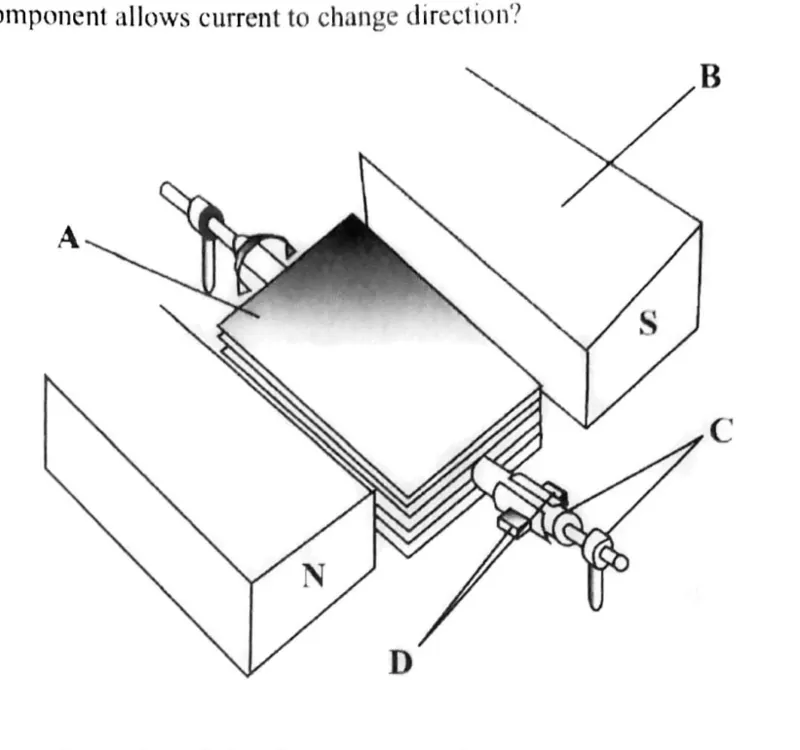 Diagram for Combined Science Paper 1 June 2020 Question 39