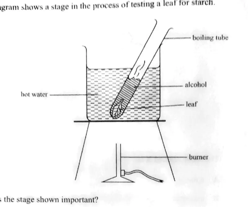Diagram for Combined Science Paper 1 June 2020 Question 5
