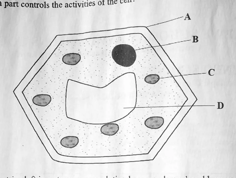 Biology - ZIMSEC Combined Science past paper diagram