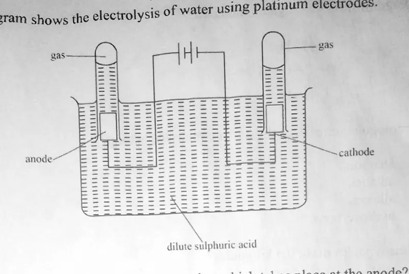 Diagram for Combined Science Paper 1 November 2022 Question 23