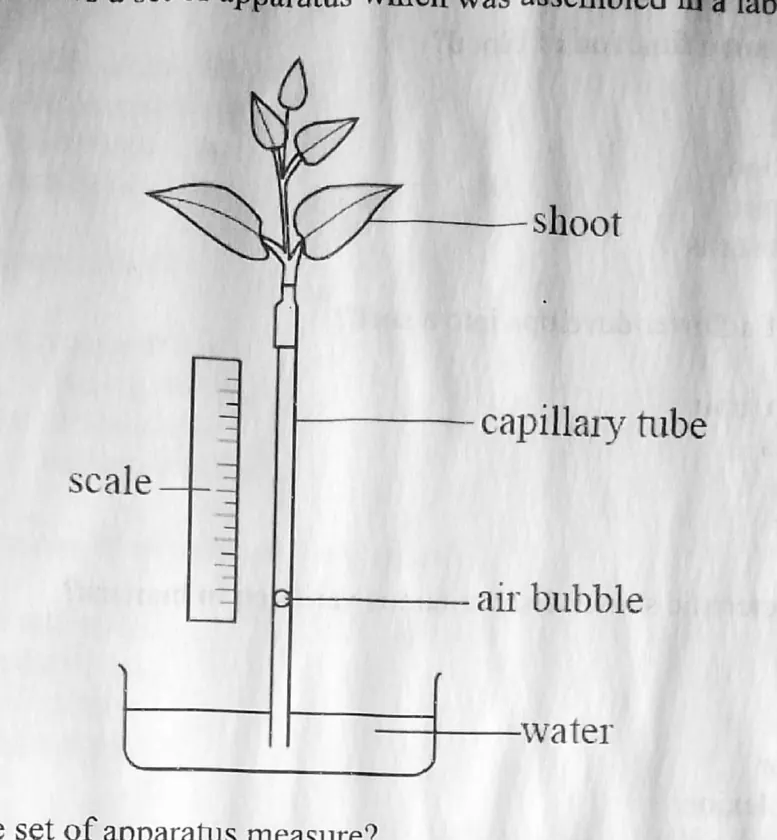 Diagram for Combined Science Paper 1 November 2022 Question 5