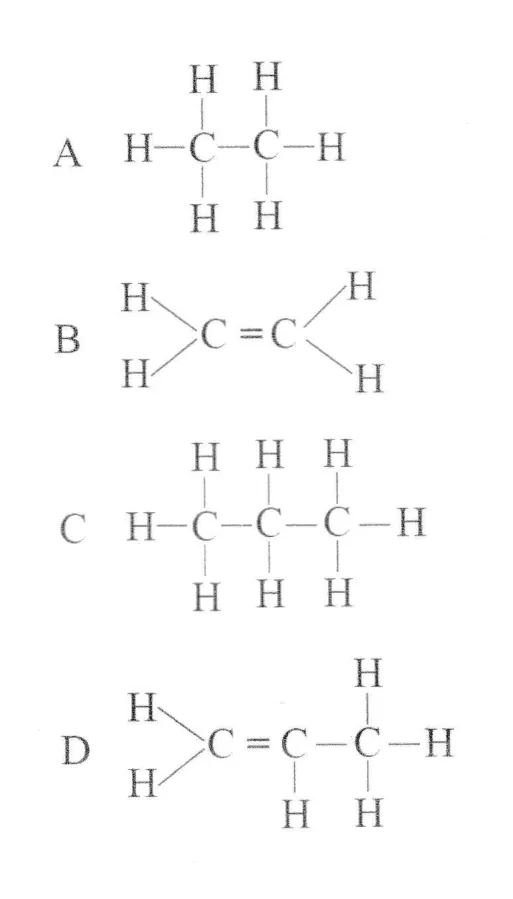 Diagram for Combined Science Paper 1 June 2023 Question 25