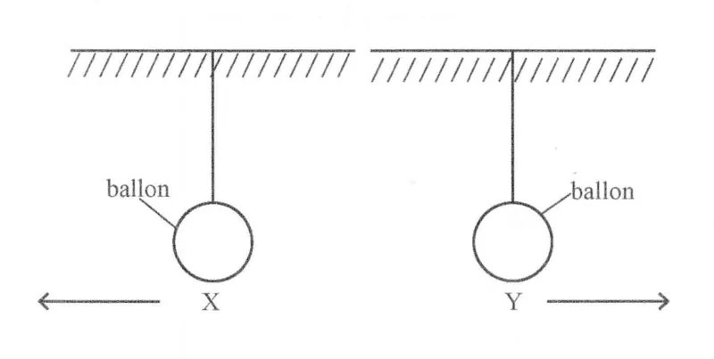Diagram for Combined Science Paper 1 June 2023 Question 38