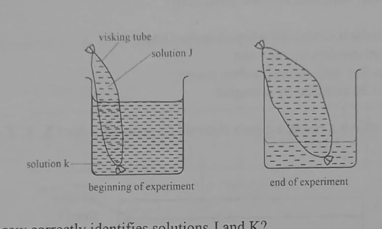 Diagram for Combined Science Paper 1 November 2023 Question 14