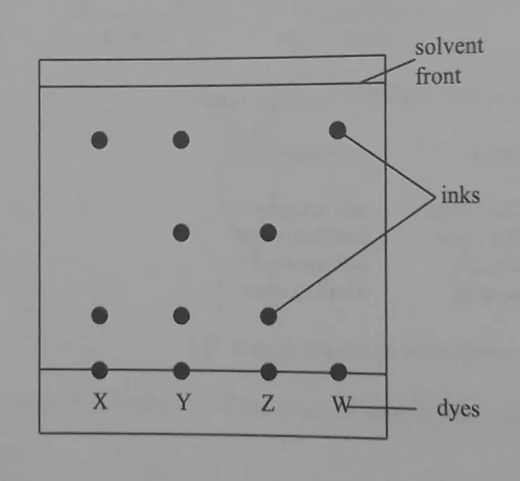 Diagram for Combined Science Paper 1 November 2023 Question 18