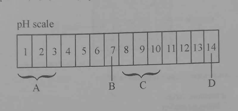 Diagram for Combined Science Paper 1 November 2023 Question 20