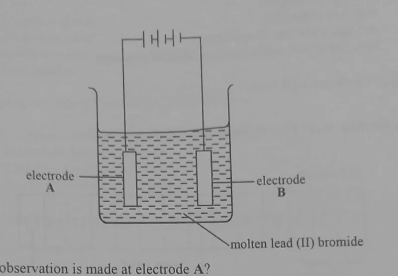 Diagram for Combined Science Paper 1 November 2023 Question 23
