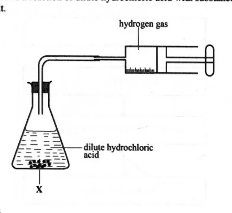 Diagram for Combined Science Paper 1 June 2024 Question 21