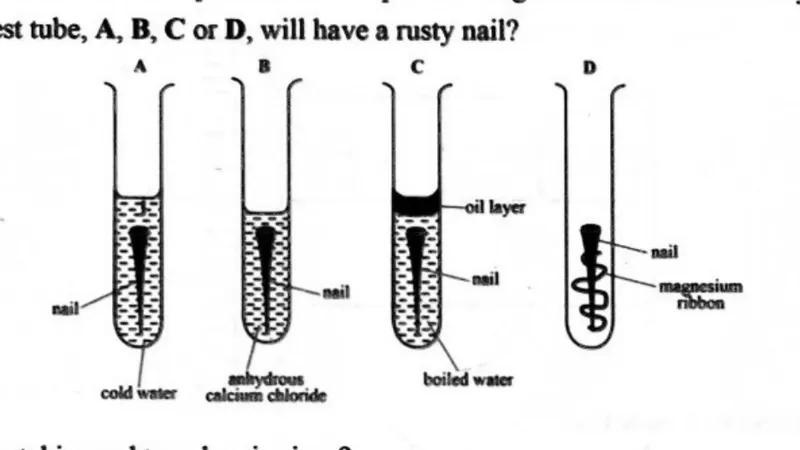 Diagram for Combined Science Paper 1 June 2024 Question 24