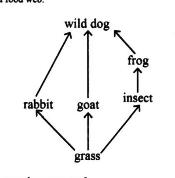 Diagram for Combined Science Paper 1 June 2024 Question 2
