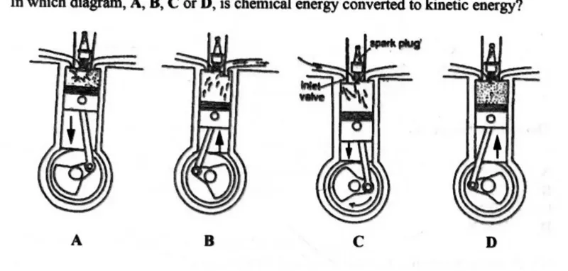 Diagram for Combined Science Paper 1 June 2024 Question 31