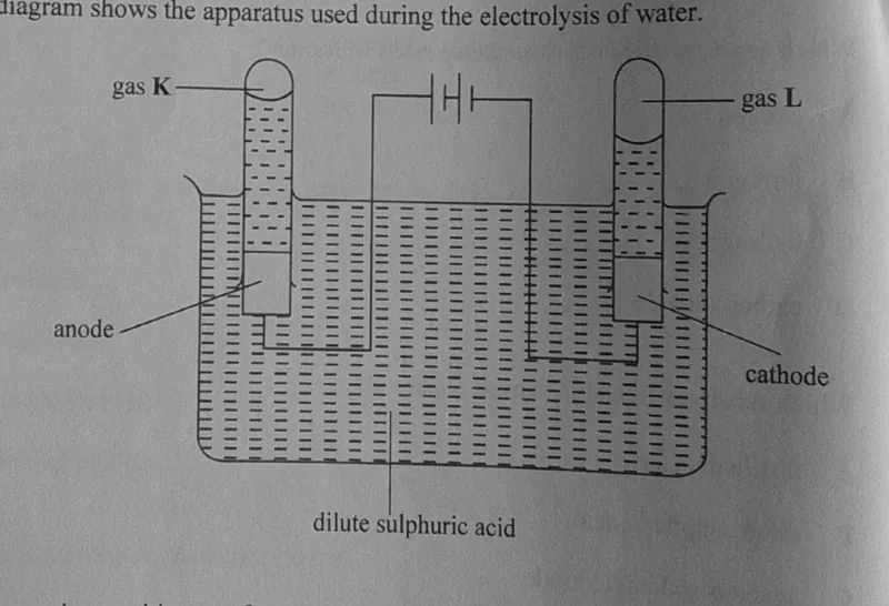 Diagram for Combined Science Paper 1 November 2024 Question 23