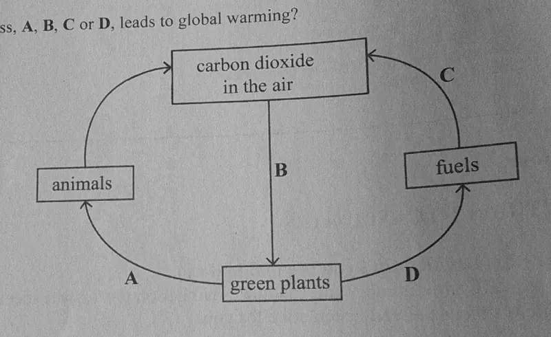 Diagram for Combined Science Paper 1 November 2024 Question 2