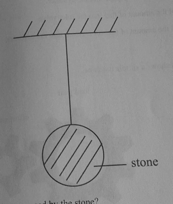 Diagram for Combined Science Paper 1 November 2024 Question 30