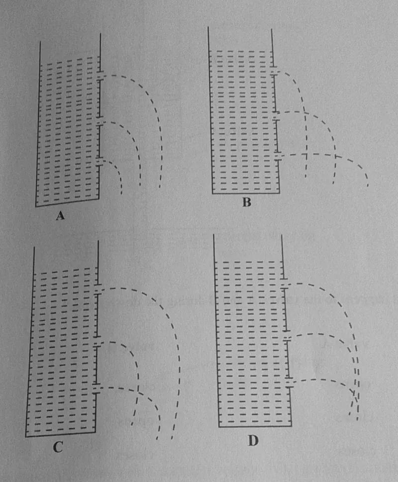 Diagram for Combined Science Paper 1 November 2024 Question 34
