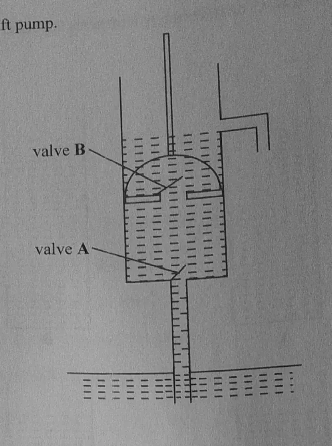 Diagram for Combined Science Paper 1 November 2024 Question 35