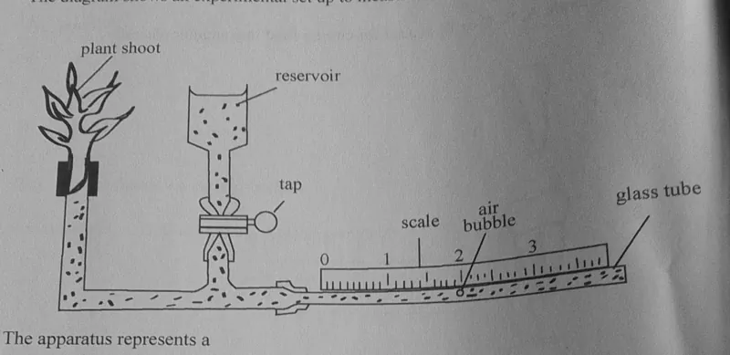 Diagram for Combined Science Paper 1 November 2024 Question 6