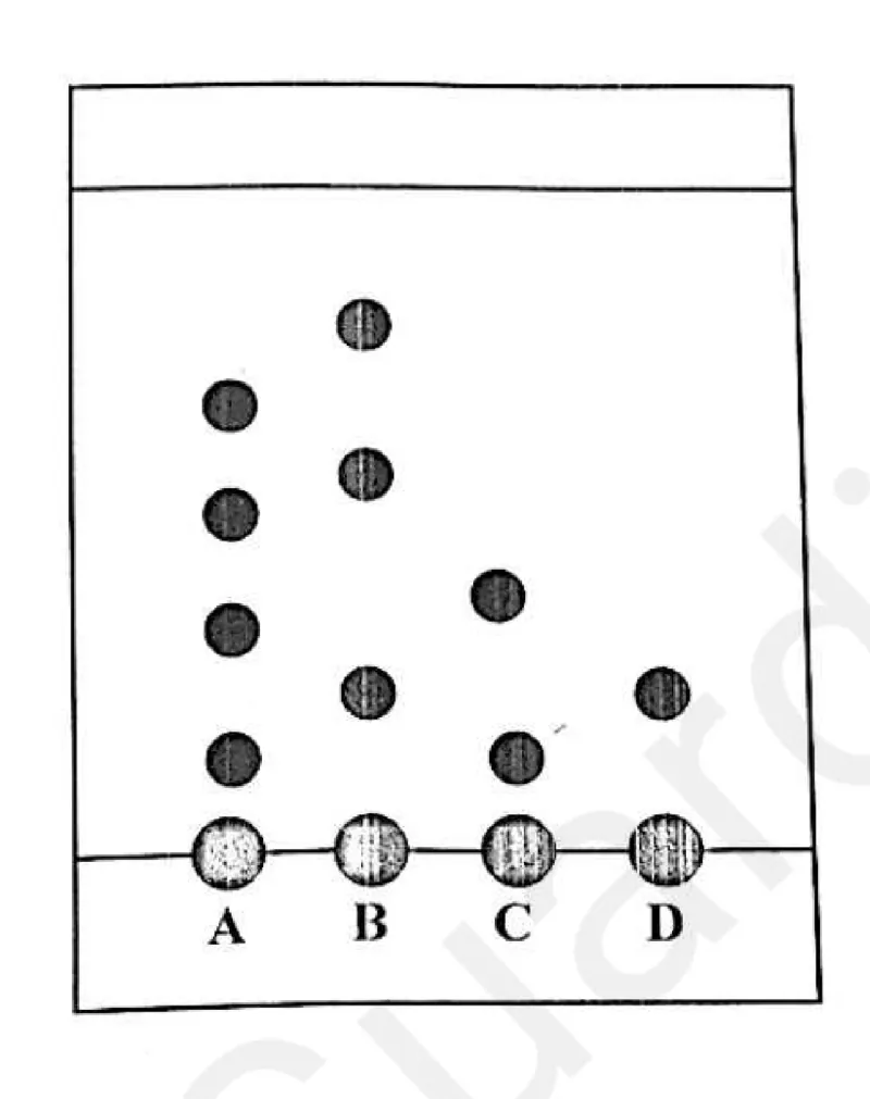 Diagram for Combined Science Paper 1 June 2025 Question 15