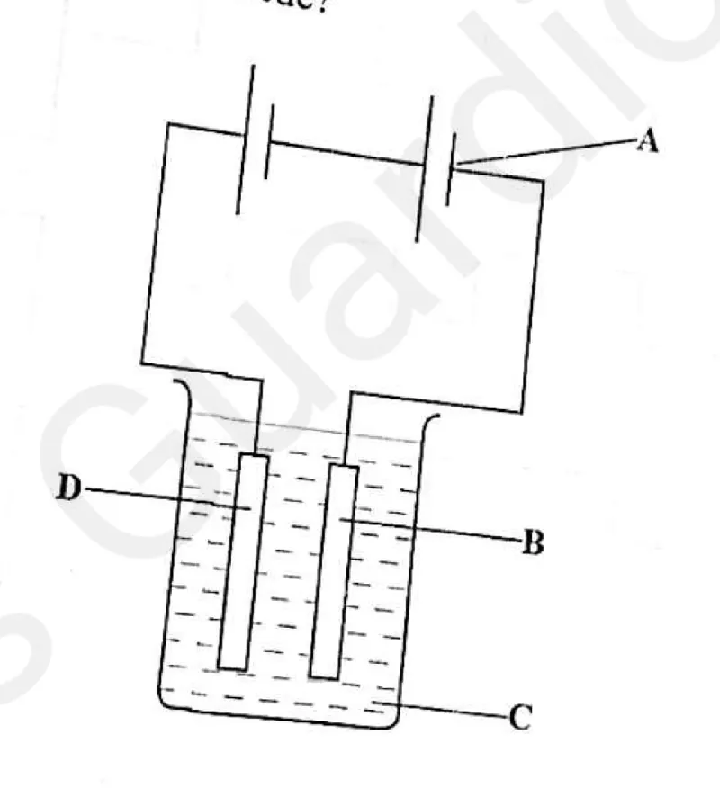 Diagram for Combined Science Paper 1 June 2025 Question 23