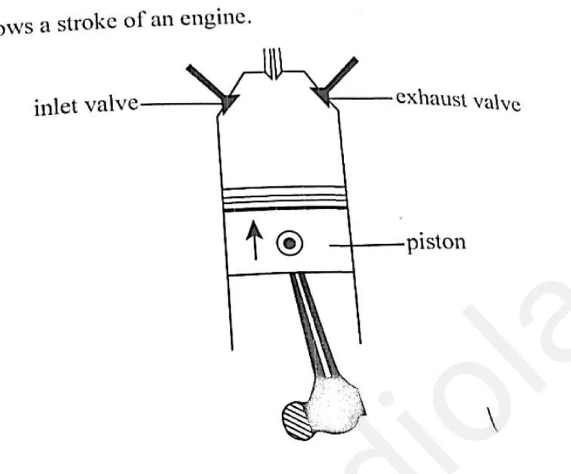 Diagram for Combined Science Paper 1 June 2025 Question 31