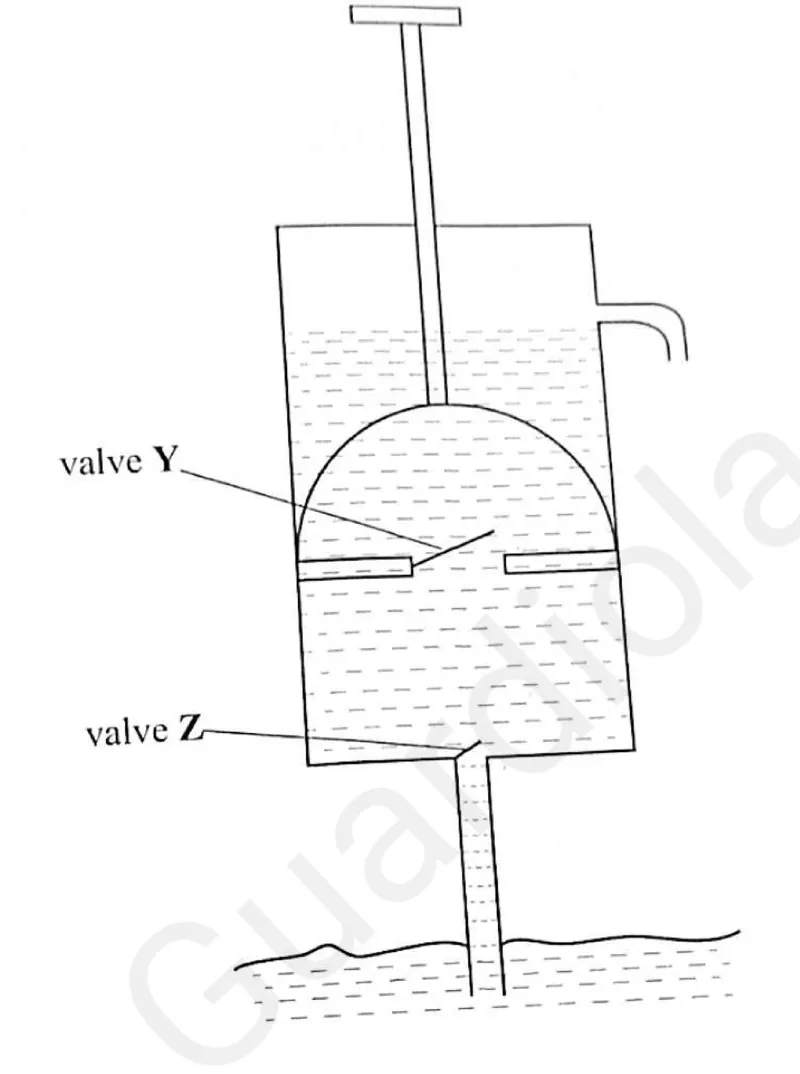 Diagram for Combined Science Paper 1 June 2025 Question 38