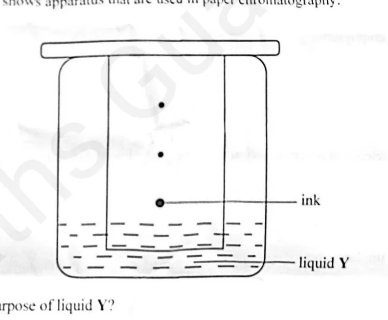 Diagram for Combined Science Paper 1 November 2025 Question 16