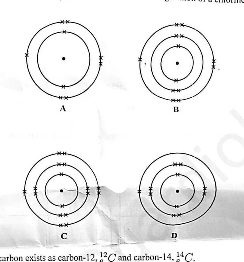Diagram for Combined Science Paper 1 November 2025 Question 17