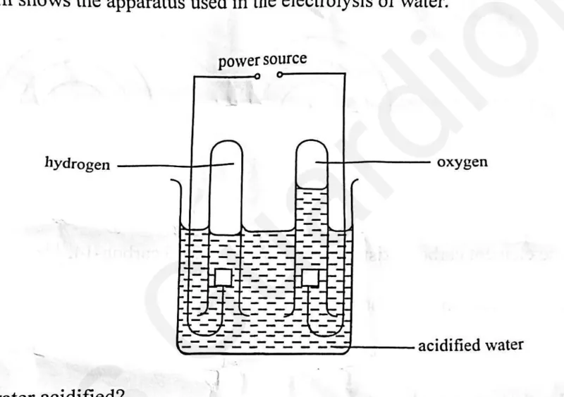Diagram for Combined Science Paper 1 November 2025 Question 21