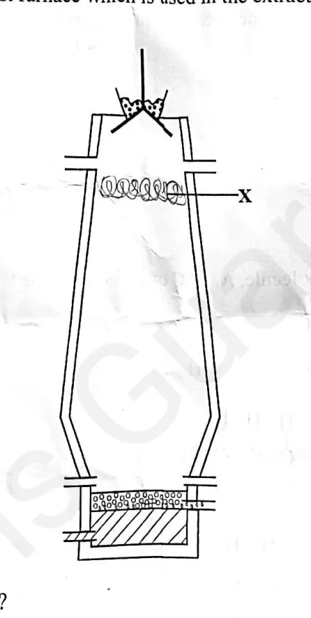 Diagram for Combined Science Paper 1 November 2025 Question 24